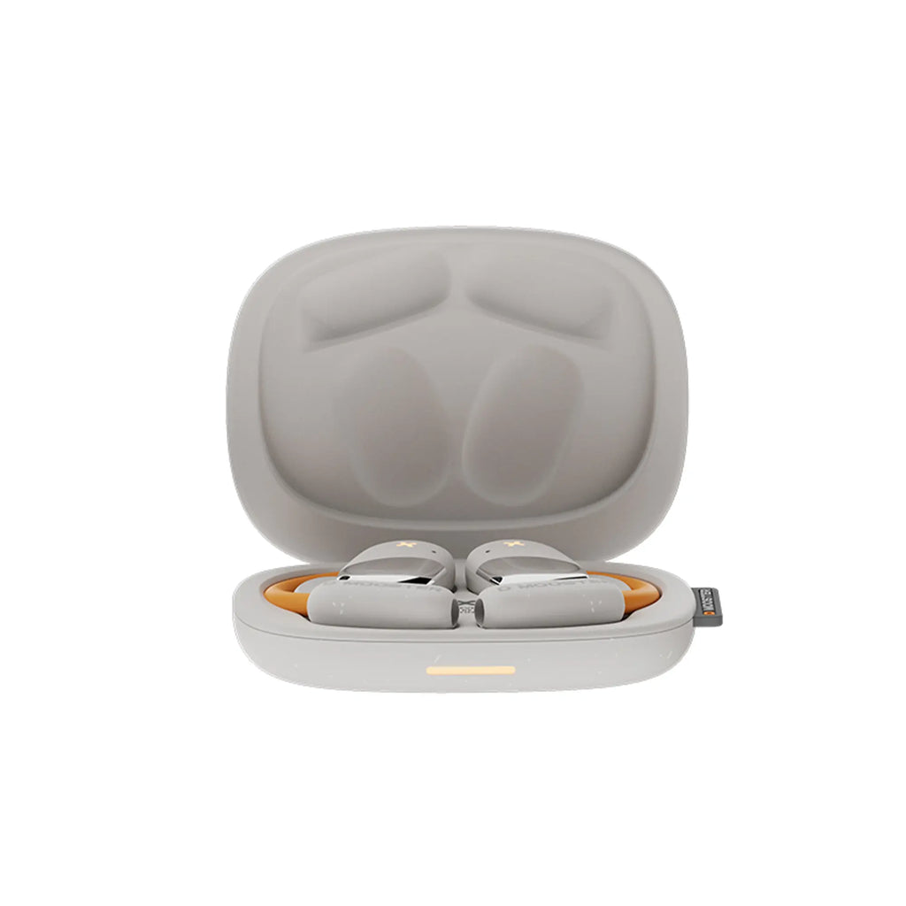 DMooster Vibe EarHooks